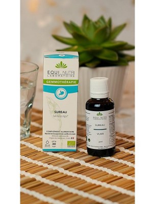 Image 84040 supplémentaire pour Sureau Macérat de Jeune Pousse Bio - Détox et Digestion 30 ml - Equi-Nutri