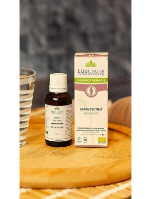 https://www.louis-herboristerie.com/84050-home_default/sapin-pectine-macerat-de-bourgeon-bio-articulations-et-respiration-30-ml-equi-nutri.jpg Image 84050 supplémentaire pour Sapin Pectiné Macérat de Bourgeon Bio - Articulations et Respiration 30 ml - Equi-Nutri