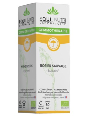 https://www.louis-herboristerie.com/84051-home_default/rosier-sauvage-macerat-de-jeune-pousse-bio-immunite-et-respiration-30-ml-equi-nutri.jpg Image 84051 supplémentaire pour Rosier Sauvage Macérat de Jeune Feuille Bio - Immunité et Respiration 30 ml - Equi-Nutri