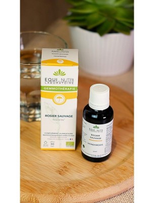 https://www.louis-herboristerie.com/84052-home_default/rosier-sauvage-macerat-de-jeune-pousse-bio-immunite-et-respiration-30-ml-equi-nutri.jpg Image 84052 supplémentaire pour Rosier Sauvage Macérat de Jeune Feuille Bio - Immunité et Respiration 30 ml - Equi-Nutri
