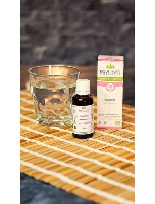 https://www.louis-herboristerie.com/84060-home_default/pommier-macerat-de-bourgeon-bio-femme-et-stress-30-ml-equi-nutri.jpg Image 84060 supplémentaire pour Pommier Macérat de Bourgeon Bio - Femme et Stress 30 ml - Equi-Nutri