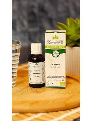 https://www.louis-herboristerie.com/84062-home_default/platane-macerat-de-bourgeon-bio-peau-30-ml-equi-nutri.jpg Image 84062 supplémentaire pour Platane Macérat de Bourgeon Bio - Peau 30 ml - Equi-Nutri