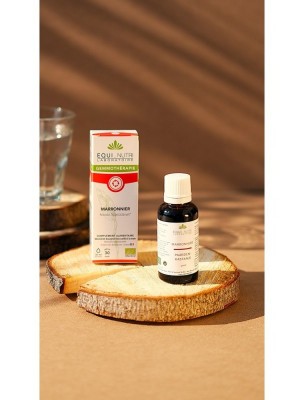 https://www.louis-herboristerie.com/84081-home_default/marronnier-macerat-de-bourgeon-bio-circulation-30-ml-equi-nutri.jpg Image 84081 supplémentaire pour Marronnier Macérat de Bourgeon Bio - Circulation 30 ml - Equi-Nutri
