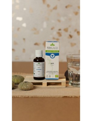 https://www.louis-herboristerie.com/84083-home_default/mais-macerat-de-bourgeon-bio-circulation-30-ml-equi-nutri.jpg Image 84083 supplémentaire pour Maïs Macérat de Radicelle Bio - Circulation 30 ml - Equi-Nutri