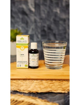 https://www.louis-herboristerie.com/84087-home_default/hetre-macerat-de-bourgeon-bio-allergies-et-immunite-30-ml-equi-nutri.jpg Image 84087 supplémentaire pour Hêtre Macérat de Bourgeon Bio - Allergies et Immunité 30 ml - Equi-Nutri