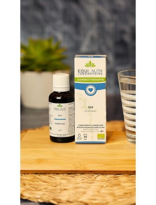 https://www.louis-herboristerie.com/84089-home_default/gui-macerat-de-bourgeon-bio-circulation-30-ml-equi-nutri.jpg Image 84089 supplémentaire pour Gui Macérat de Jeune Pousse Bio - Circulation 30 ml - Equi-Nutri