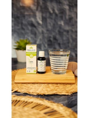 https://www.louis-herboristerie.com/84105-home_default/chene-macerat-de-bourgeon-bio-homme-et-tonus-30-ml-equi-nutri.jpg Image 84105 supplémentaire pour Chêne Macérat de Bourgeon Bio - Homme et Tonus 30 ml - Equi-Nutri