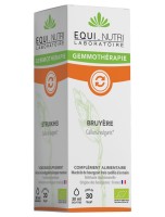 Image de Bruyère Macérat de Jeune Pousse Bio - Confort Urinaire 30 ml - Equi-Nutri depuis Bourgeons pour votre bien-être (2)
