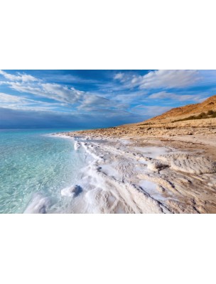 https://www.louis-herboristerie.com/8412-home_default/dead-sea-milk-scaly-skin-200-ml-sealine.jpg