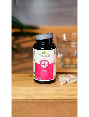 https://www.louis-herboristerie.com/84193-home_default/sod-antioxydant-30-gelules-equi-nutri.jpg Image 84193 supplémentaire pour SOD+ - Antioxydant 30 gélules - Equi-Nutri