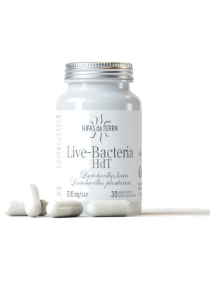 https://www.louis-herboristerie.com/84272-home_default/live-bacteria-lactobacillus-brevis-et-plantarum-30-gelules-hifas-da-terra.jpg Image 84272 supplémentaire pour Live-Bacteria Lactobacillus brevis et plantarum - 30 gélules - Hifas da Terra