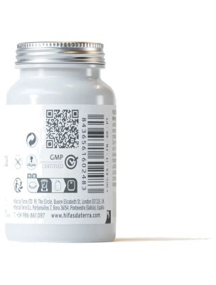 https://www.louis-herboristerie.com/84273-home_default/live-bacteria-lactobacillus-brevis-et-plantarum-30-gelules-hifas-da-terra.jpg Image 84273 supplémentaire pour Live-Bacteria Lactobacillus brevis et plantarum - 30 gélules - Hifas da Terra