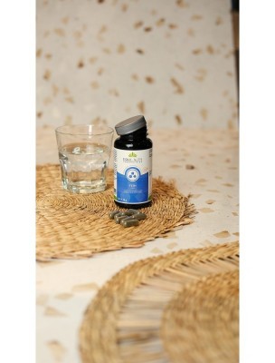 Image 84309 supplémentaire pour Fer+ pidolate de fer, spiruline et moringa - 60 gélules - Equi-Nutri