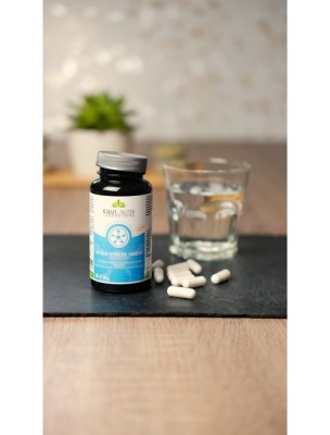 https://www.louis-herboristerie.com/84340-home_default/n22-d-stress-digest-enzymes-et-mineraux-60-gelules-equi-nutri.jpg Image 84340 supplémentaire pour N°22 D'Stress Digest enzymes et minéraux - 60 gélules - Equi-Nutri