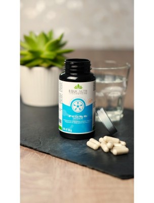 https://www.louis-herboristerie.com/84346-home_default/n41-calcium-magnesium-manganese-pidolates-60-gelules-equi-nutri.jpg Image 84346 supplémentaire pour N°41 Calcium Magnésium Manganèse pidolates - 60 gélules - Equi-Nutri