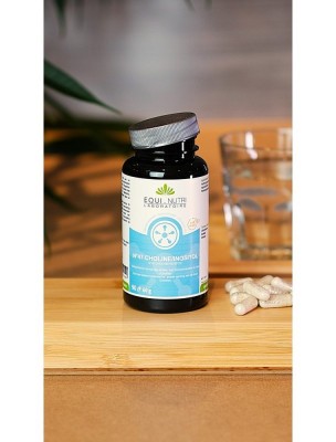 https://www.louis-herboristerie.com/84354-home_default/n47-choline-inositol-90-gelules-equi-nutri.jpg Image 84354 supplémentaire pour N°47 Choline Inositol - 90 gélules - Equi-Nutri