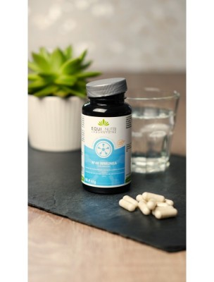 https://www.louis-herboristerie.com/84356-home_default/n48-immunea-oeuf-de-caille-et-zinc-90-gelules-equi-nutri.jpg Image 84356 supplémentaire pour N°48 Immunea œuf de caille et zinc - 90 gélules - Equi-Nutri