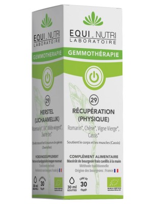 https://www.louis-herboristerie.com/84360-home_default/recuperation-physique-n29-bio-articulations-et-muscles-30-ml-equi-nutri.jpg Image 84360 supplémentaire pour Récupération (Physique) n°29 Bio - Articulations et Muscles 30 ml - Equi-Nutri