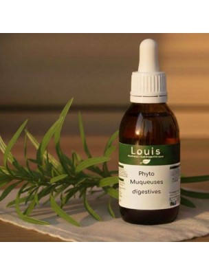 Image 84372 supplémentaire pour Phyto Muqueuses Digestives Bio - Teinture mère de plantes 125 ml