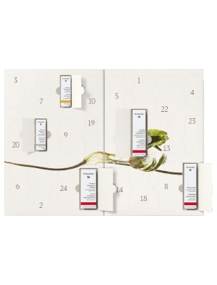 https://www.louis-herboristerie.com/84376-home_default/calendrier-de-l-avent-soins-du-visage-dr-hauschka.jpg Image 84376 supplémentaire pour Calendrier de l'Avent - Soins du Visage - Dr Hauschka