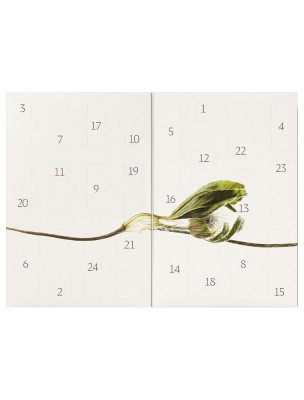 https://www.louis-herboristerie.com/84377-home_default/calendrier-de-l-avent-soins-du-visage-dr-hauschka.jpg Image 84377 supplémentaire pour Calendrier de l'Avent - Soins du Visage - Dr Hauschka