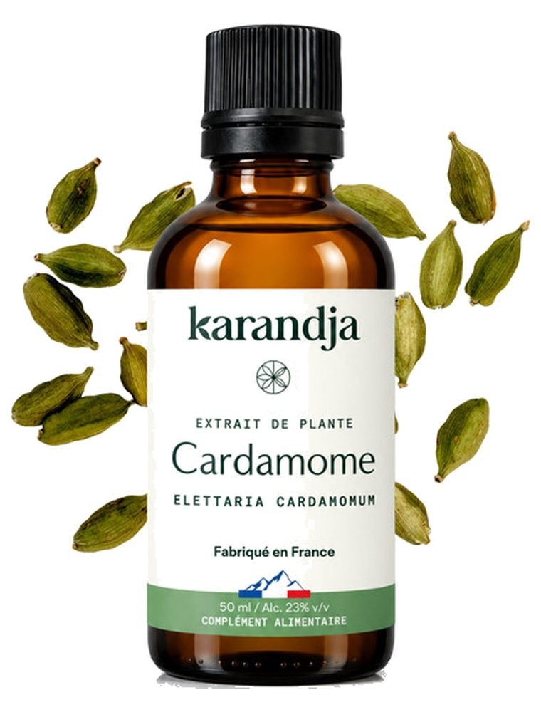 Image principale de la modale pour Cardamome Bio - Teinture-Mère d'Elettaria Cardamomum 50 ml - Karandja