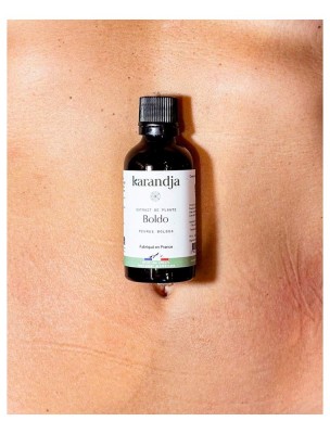 https://www.louis-herboristerie.com/84543-home_default/boldo-bio-teinture-mere-de-peumus-boldus-50-ml-karandja.jpg Image 84543 supplémentaire pour Boldo Bio - Teinture-Mère de Peumus Boldus 50 ml - Karandja