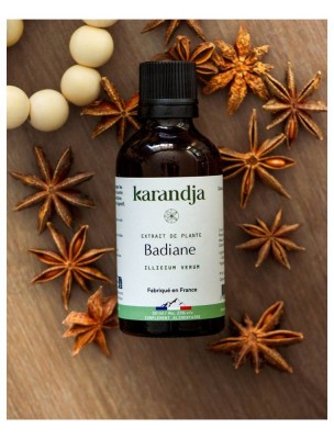 https://www.louis-herboristerie.com/84547-home_default/badiane-bio-teinture-mere-d-illicium-verum-50-ml-karandja.jpg Image 84547 supplémentaire pour Badiane Bio - Teinture-Mère d'Illicium verum 50 ml - Karandja