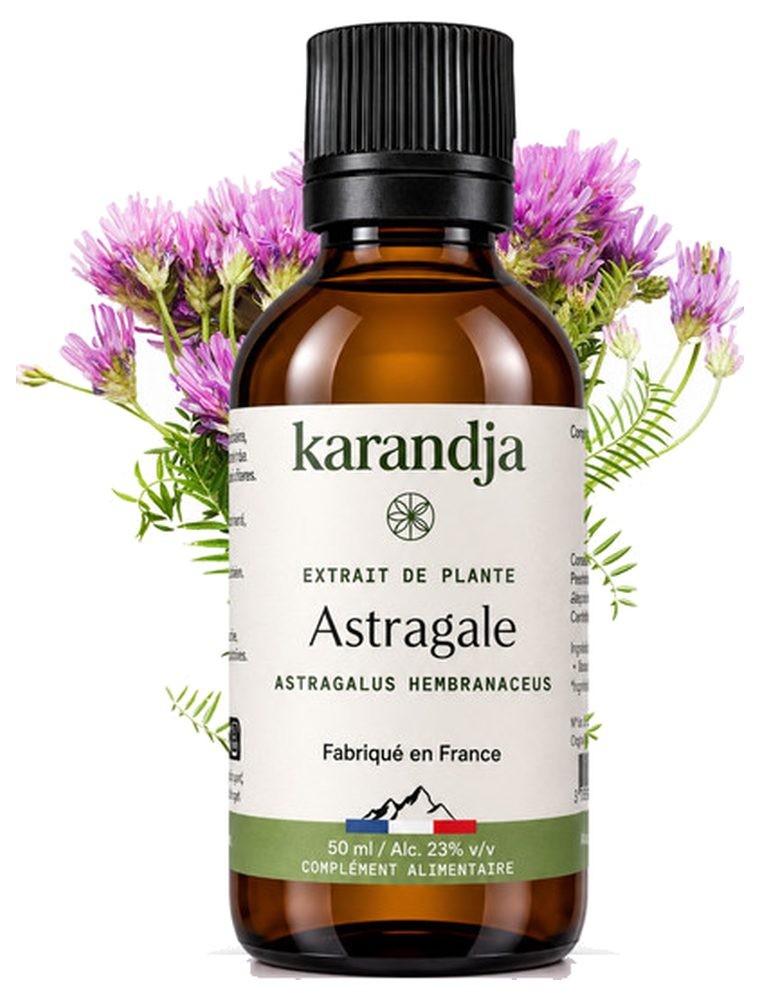 Image principale de la modale pour Astragale Bio - Teinture-Mère d'Astragalus membranaceus 50 ml - Karandja