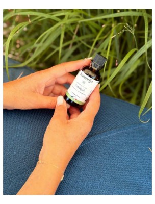 Image 84555 supplémentaire pour Astragale Bio - Teinture-Mère d'Astragalus membranaceus 50 ml - Karandja