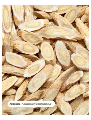 Image 84556 supplémentaire pour Astragale Bio - Teinture-Mère d'Astragalus membranaceus 50 ml - Karandja