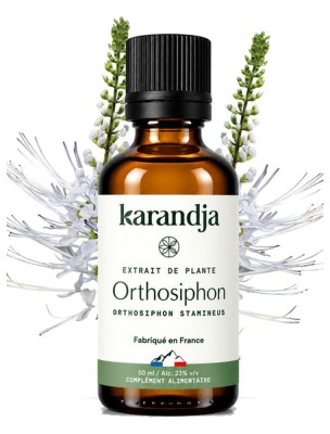 Orthosiphon Bio - Teinture-Mère d'Orthosiphon stamineus 50 ml - Karandja