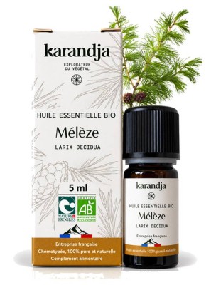 Image de Mélèze Bio - Huile Essentielle de Larix decidua 5 ml - Karandja depuis Commandez les produits Karandja à l'herboristerie Louis