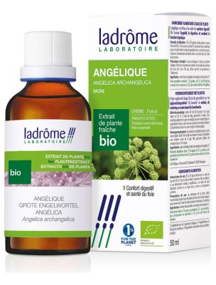 Image de Angélique Bio - Digestion Teinture-mère Angelica archangelica 50 ml - Ladrôme depuis louis-herboristerie
