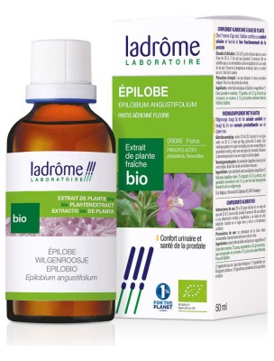 Image de Epilobe Bio - Prostate Teinture-mère Epilobium angustifolium 50 ml - Ladrôme depuis louis-herboristerie