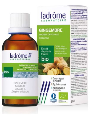 Image de Gingembre Bio - Digestion Teinture-mère Zingiber officinale 50 ml - Ladrôme depuis louis-herboristerie