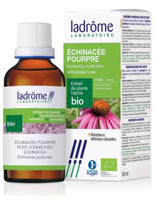 Image de Échinacée pourpre Bio - Immunités Teinture-mère Echinacea purpurea 50 ml - Ladrôme depuis louis-herboristerie