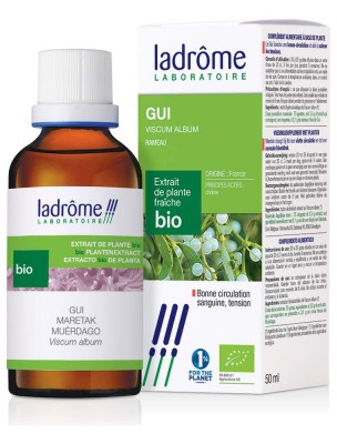Image de Gui Bio - Circulation Teinture mère Viscum album 50 ml - Ladrôme depuis louis-herboristerie