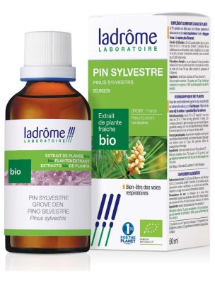Image de Pin Sylvestre Bio - Défenses naturelles Teinture-mère Pinus Sylvestris 50 ml - Ladrôme depuis louis-herboristerie