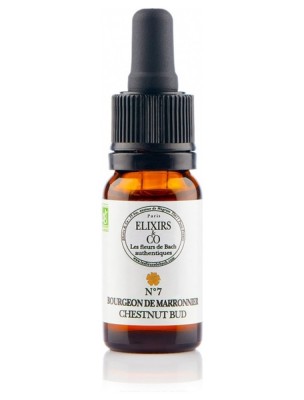 Image de Bourgeon de Marronnier (Chestnut Bud) N°07 Bio Expérience et Erreurs Fleurs de Bach 10 ml - Elixirs and Co depuis Commandez les produits Elixirs and Co à l'herboristerie Louis