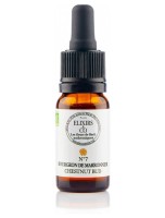 Image de Bourgeon de Marronnier (Chestnut Bud) N°07 Bio Expérience et Erreurs Fleurs de Bach 10 ml - Elixirs and Co depuis Herboristerie Louis - Produits de phytothérapie et d'herboristerie en ligne (26)