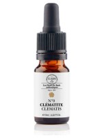 Image de Clématite (Clematis) N°09 Bio Fleurs de Bach 10 ml - Elixirs and Co depuis Fleurs de Bach unitaires pour l'équilibre (2)