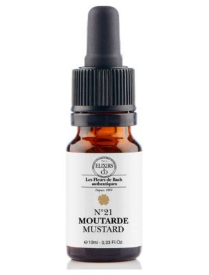 Image 85001 supplémentaire pour Moutarde (Mustard) N°21 Bio - Contre la Tristesse Fleurs de Bach 10 ml - Elixirs and Co