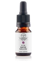 Image de Saule (Willow) N°38 Bio - Contre le sentiment d'injustice Fleurs de Bach 10 ml - Elixirs and Co depuis Solutions Naturelles pour le Stress (18)