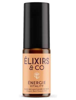 Image de Spray buccal Bio aux Fleurs de Bach - Pour l'énergie 10 ml - Elixirs and Co depuis Commandez les produits Elixirs and Co à l'herboristerie Louis