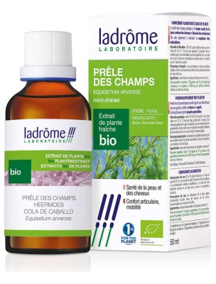 Image de Prêle des Champs Bio - Articulations et Dépuratif Teinture-mère Equisetum arvense 50 ml - Ladrôme depuis louis-herboristerie