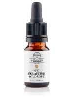 Image de Églantine (Wild Rose) N°37 Bio - Vitalité et Joie de Vivre Fleurs de Bach 10 ml - Elixirs and Co depuis Fleurs de Bach unitaires pour l'équilibre (2)