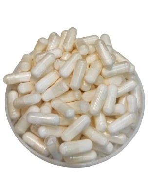 https://www.louis-herboristerie.com/85156-home_default/l-ornithine-acide-amine-120-gelules-nature-et-partage.jpg Image 85156 supplémentaire pour L-Ornithine - Acide aminé 120 gélules - Nature et Partage