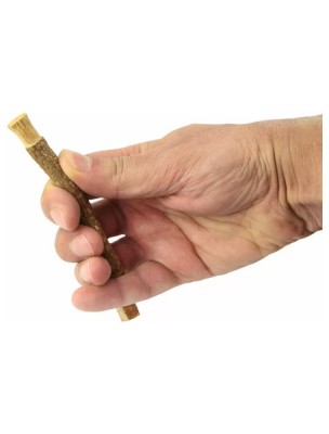 https://www.louis-herboristerie.com/85211-home_default/siwak-naturel-brosse-a-dent-vegetale-nature-et-partage.jpg Image 85211 supplémentaire pour Siwak naturel - Brosse à dent végétale - Nature et Partage