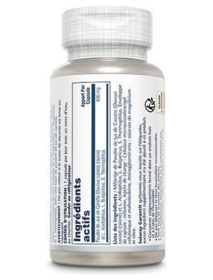 Image 85287 supplémentaire pour Acidophilus plus jus de carotte (non lacté) - Flore intestinale 100ug 30 capsules végétales - Solaray